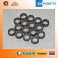 10 Years Experienced Permanent Neodymium Ring Magnet